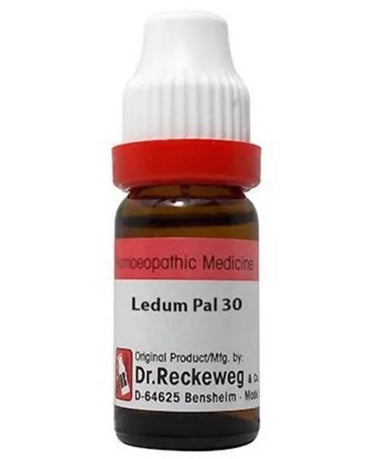 dr.-reckeweg-ledum-pal-dilutio